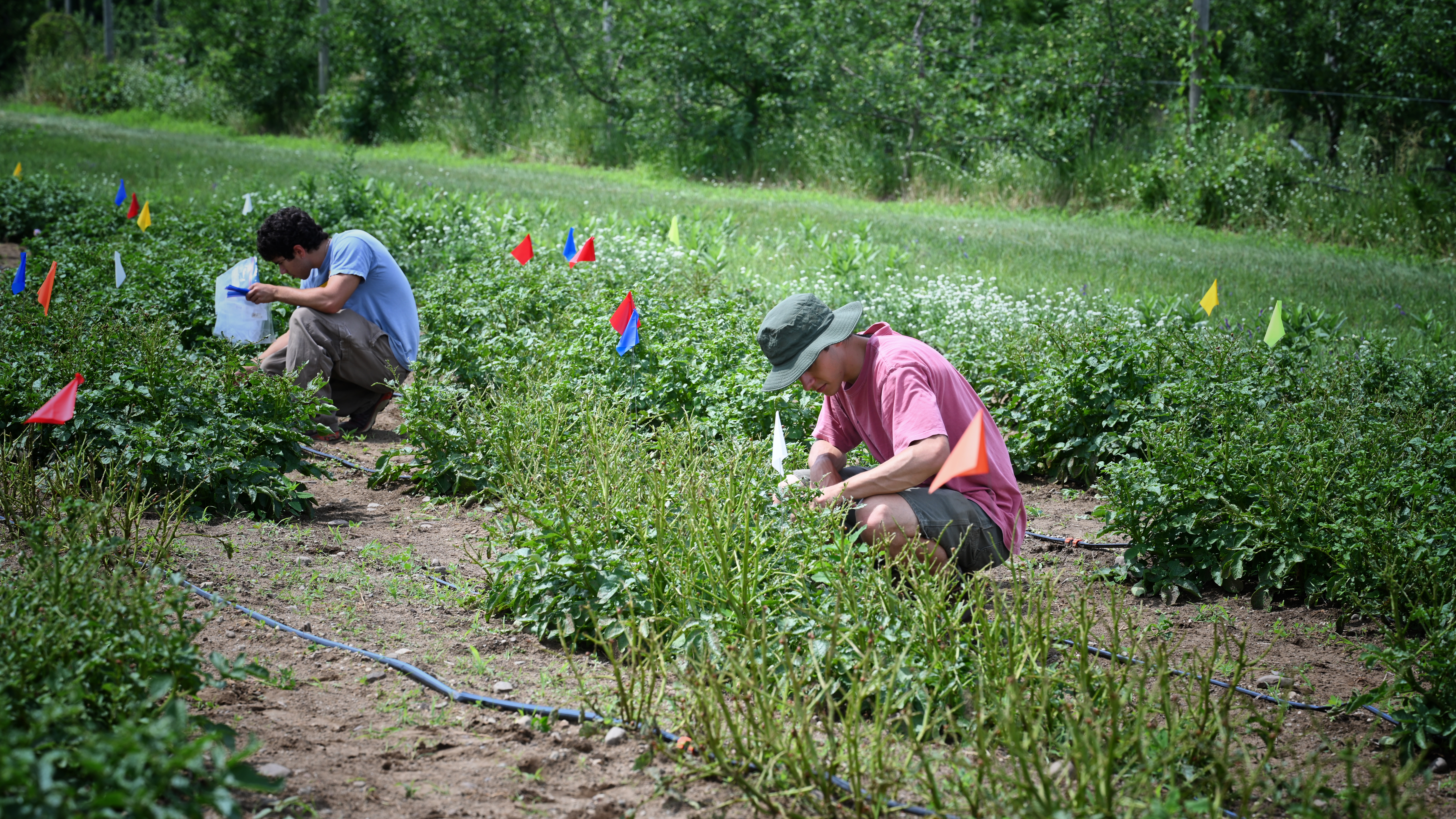 Nolan Kurtz & Ari Kurtz Papadopoulos |  Collecting data in our research field — Summer 2025
